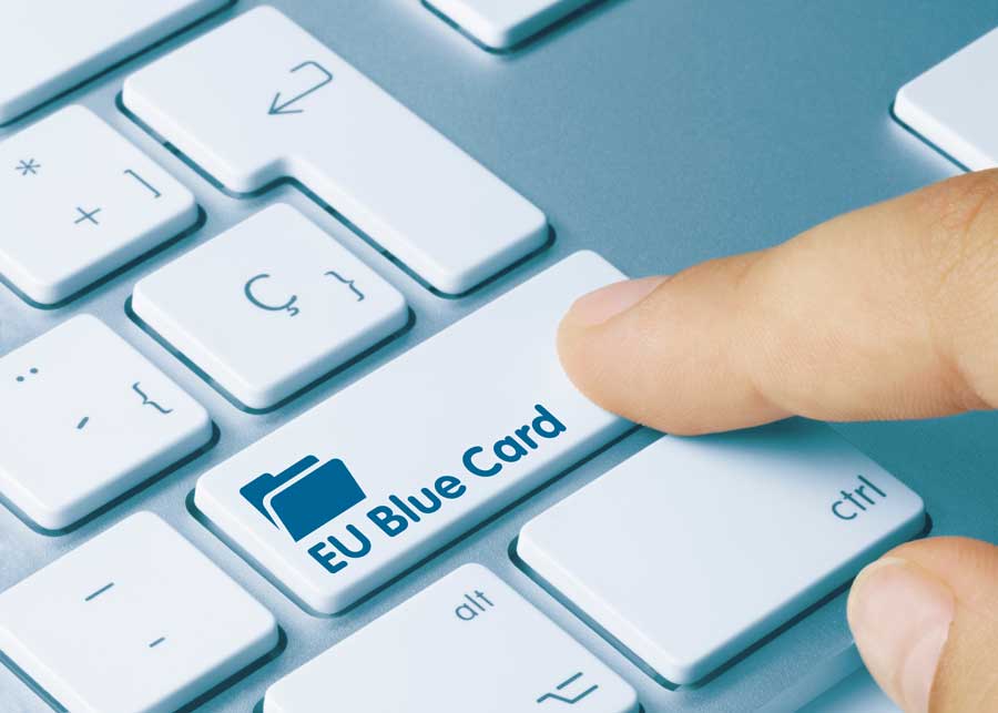 antrag-blue-card