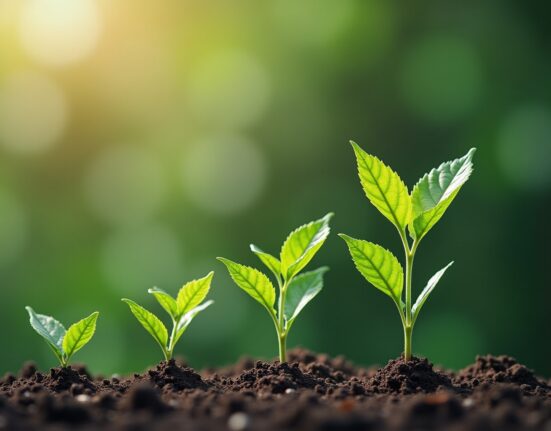 Nachhaltig investieren: ESG-Kriterien erklärt